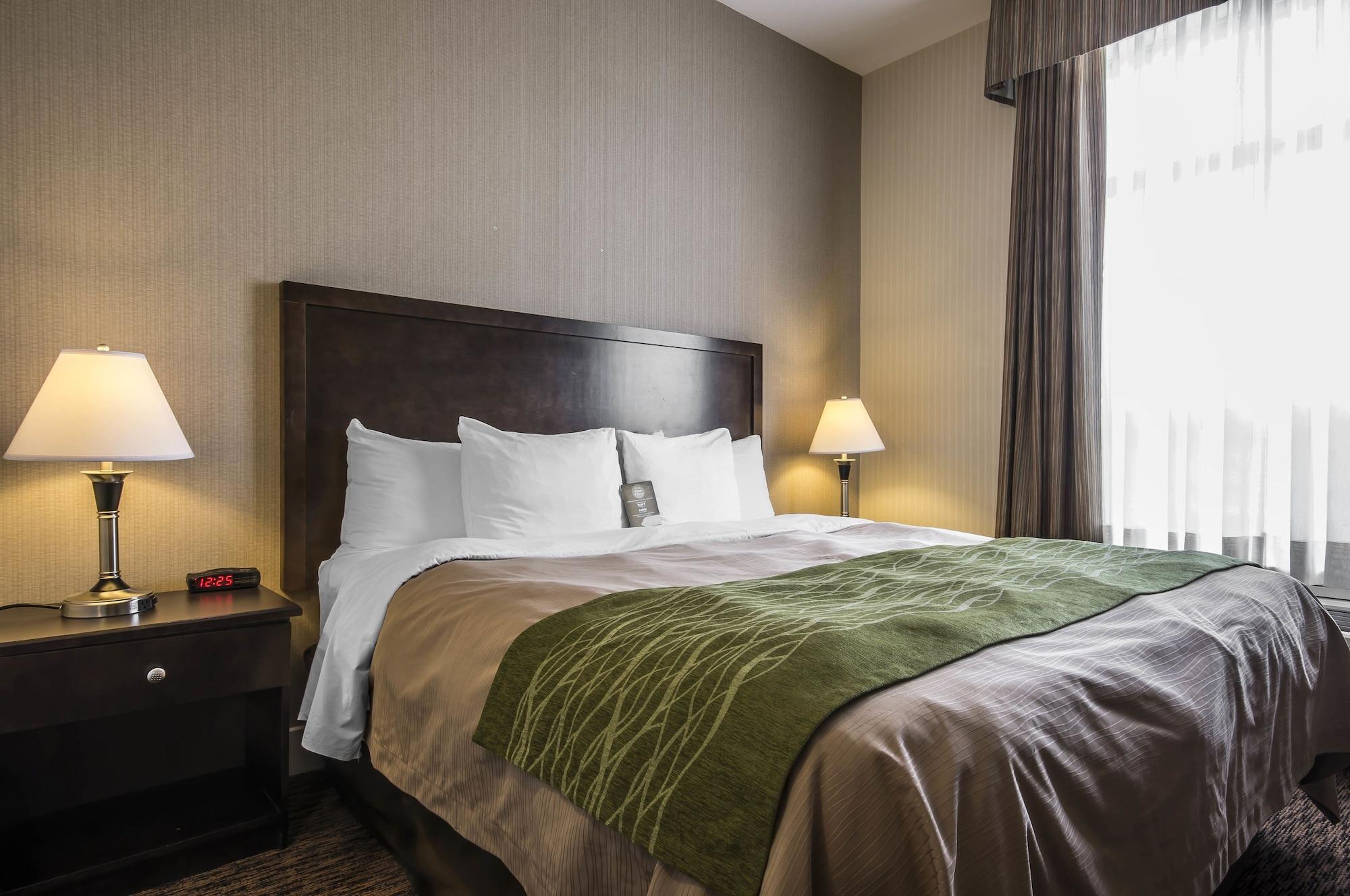 Comfort Inn & Suites Surrey Eksteriør bilde