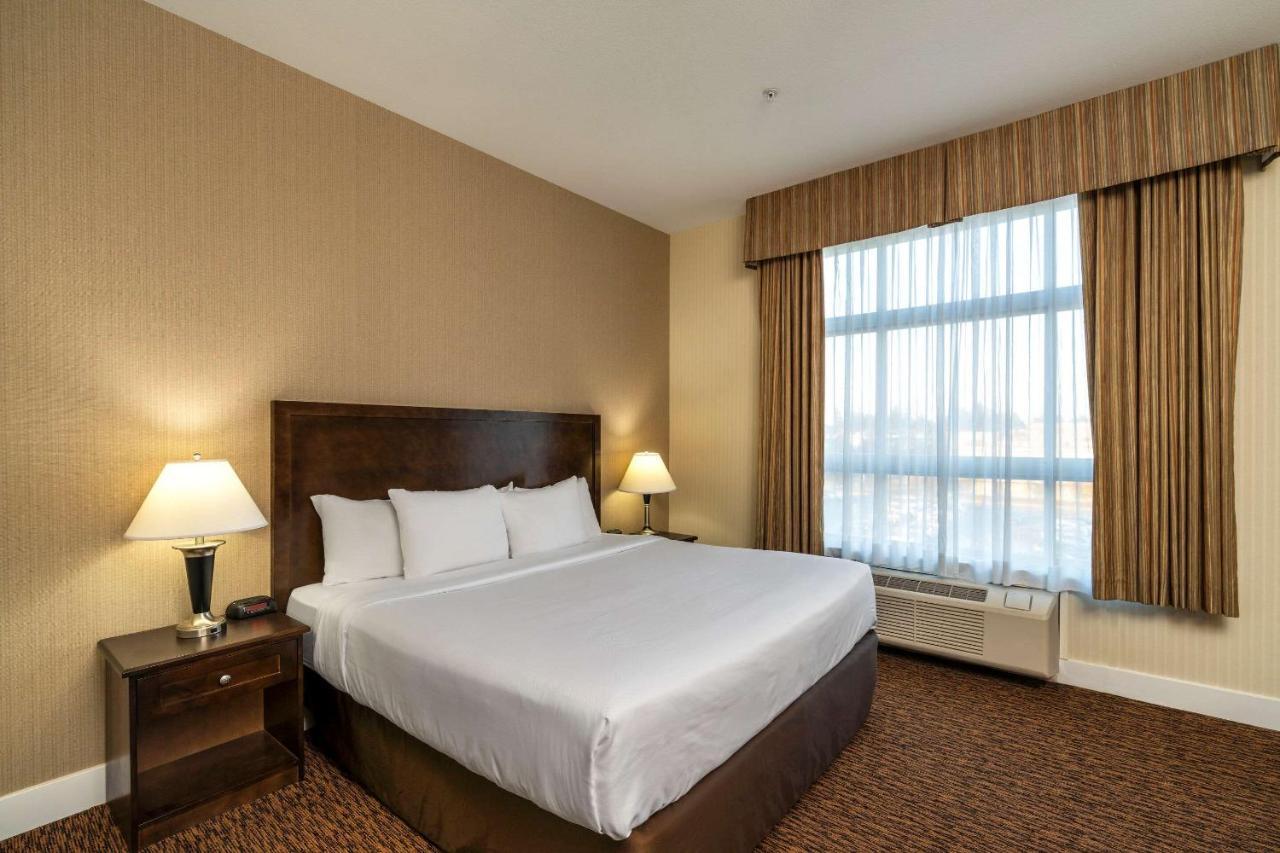Comfort Inn & Suites Surrey Eksteriør bilde