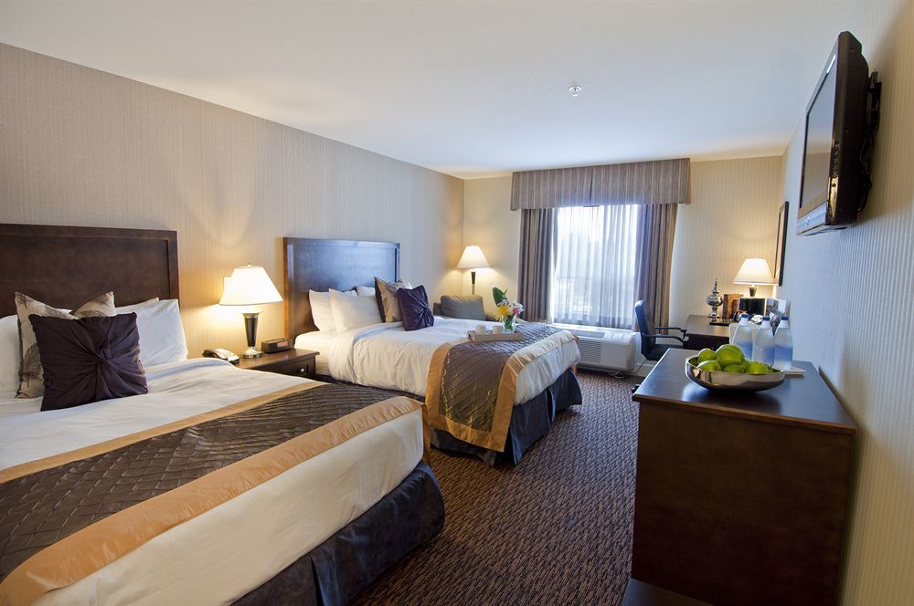 Comfort Inn & Suites Surrey Rom bilde